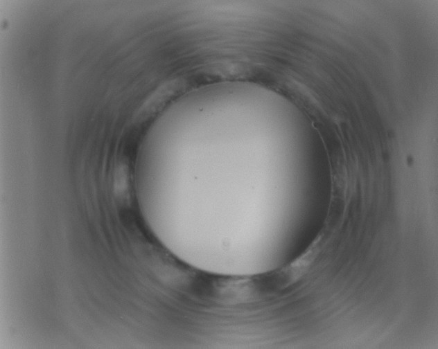 X0000074290132200609081901