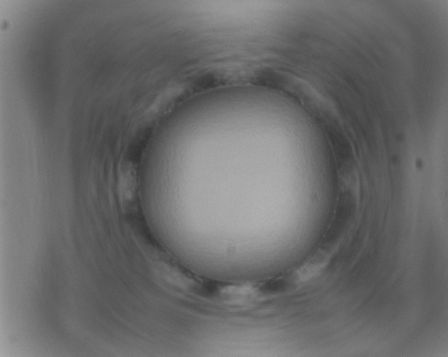 X0000074290133200609081901