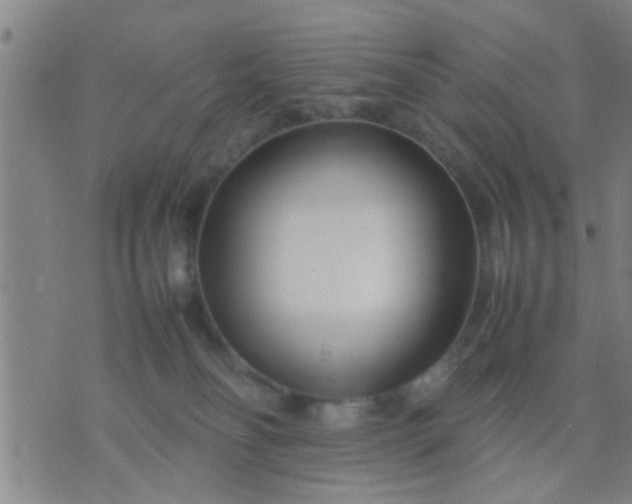 X0000074290134200609081901