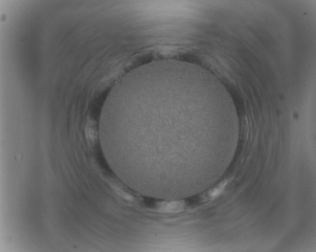 X0000074290135200609081901