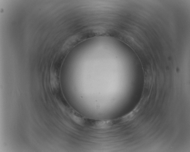 X0000074290136200609081901