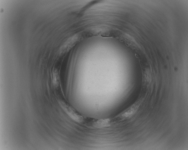 X0000074290138200609081901