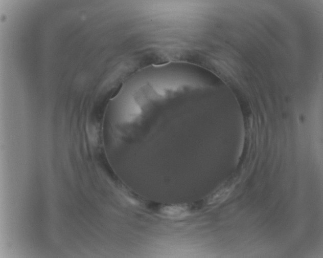 X0000074290139200609081901