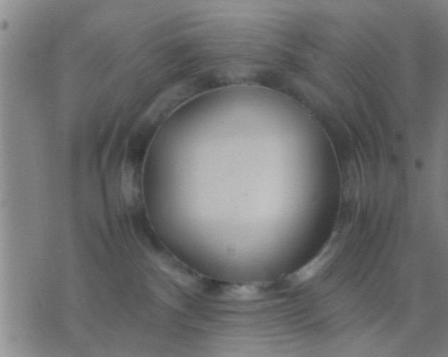 X0000074290140200609081901