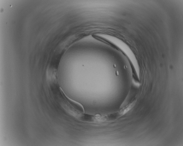 X0000074290141200609081901