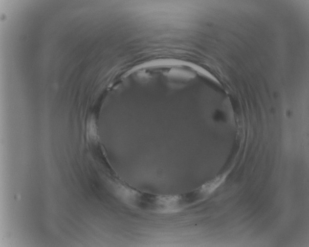 X0000074290143200609081901