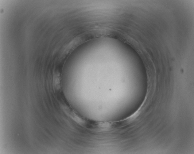 X0000074290144200609081901