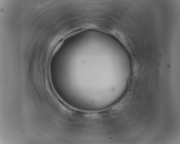 X0000074290145200609081900