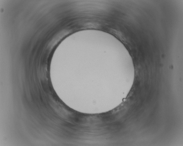 X0000074290146200609081900