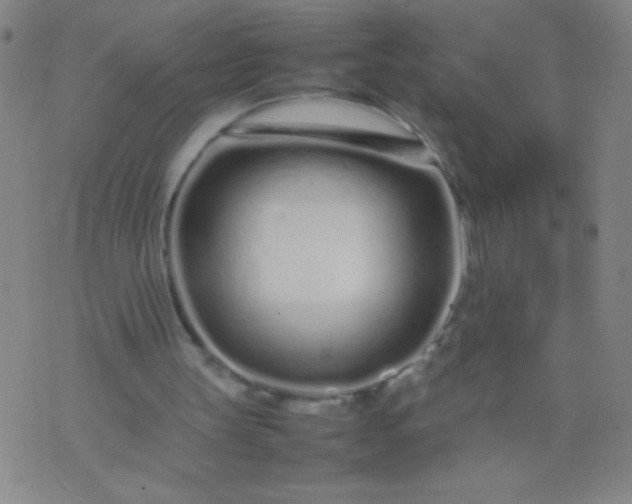 X0000074290147200609081900