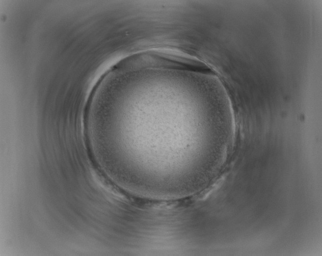 X0000074290148200609081900