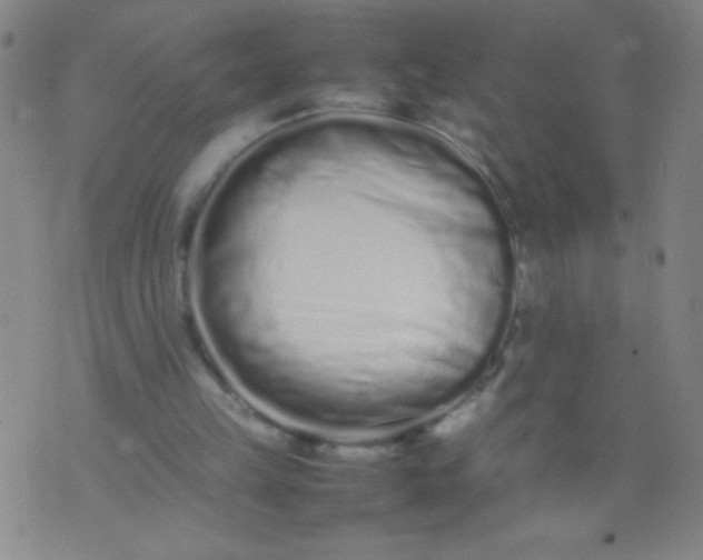 X0000074290149200609081900