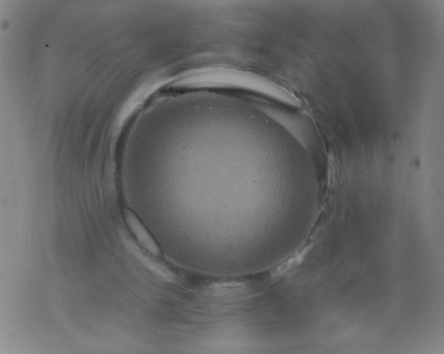 X0000074290150200609081900