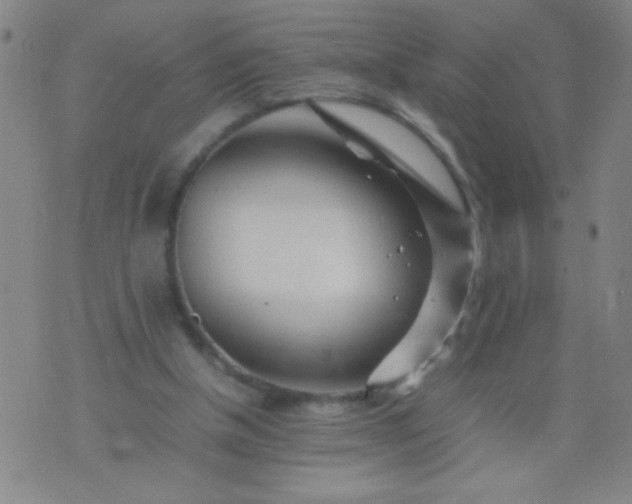 X0000074290154200609081901