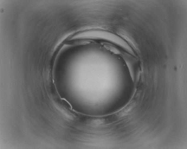 X0000074290156200609081901