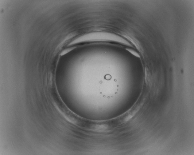 X0000074290157200609081901