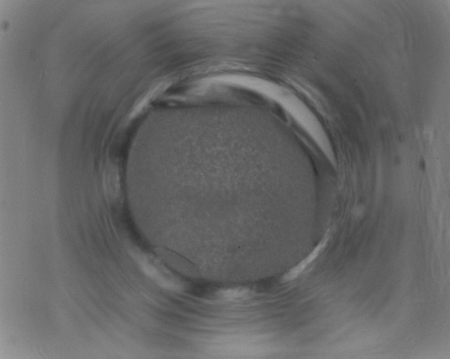 X0000074290158200609081901