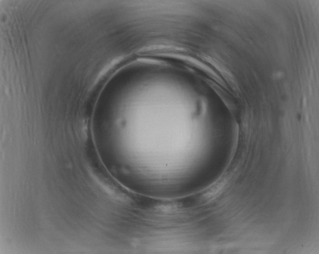 X0000074290160200609081901