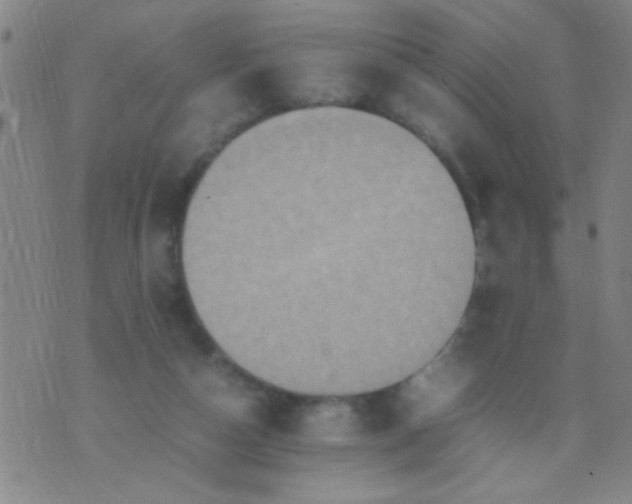 X0000074290162200609081901