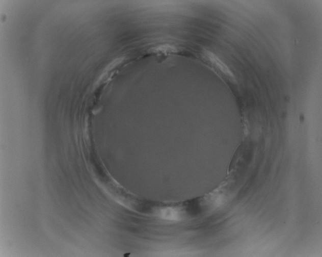 X0000074290163200609081901