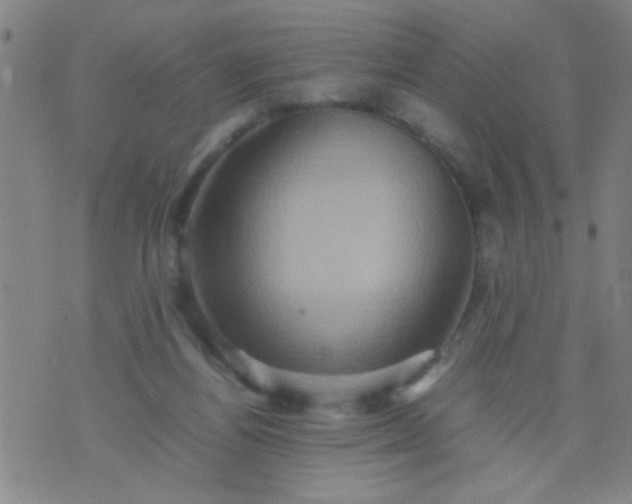 X0000074290164200609081901