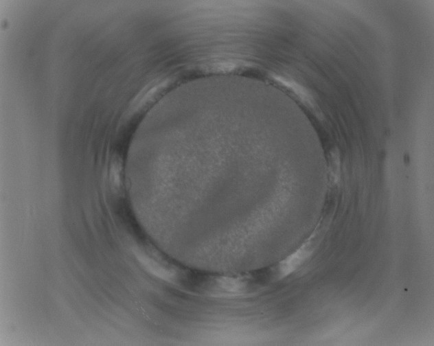 X0000074290166200609081901