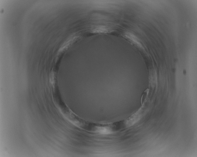 X0000074290167200609081901