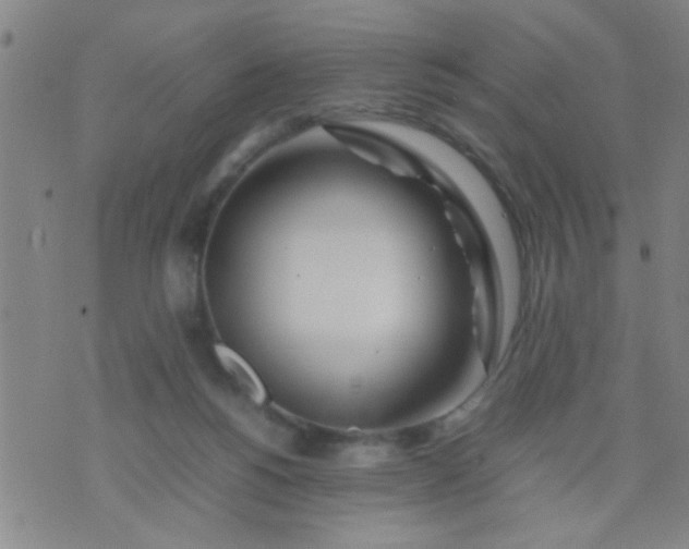 X0000074290168200609081901