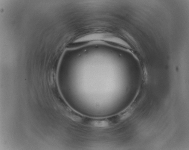 X0000074290169200609081901