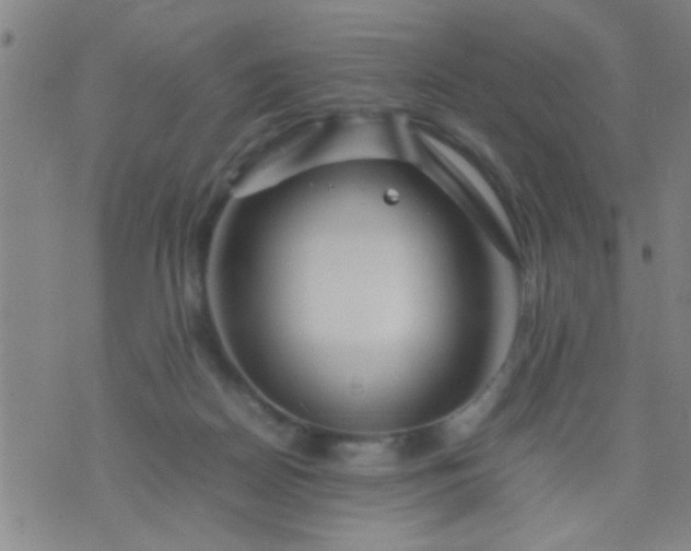 X0000074290170200609081901