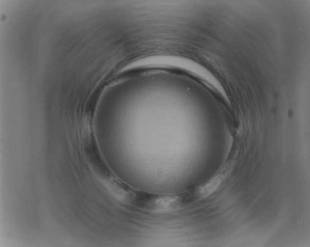 X0000074290172200609081901