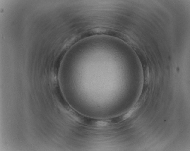 X0000074290176200609081901