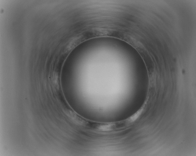 X0000074290178200609081901