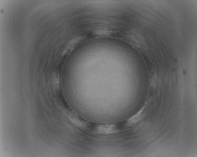 X0000074290179200609081901