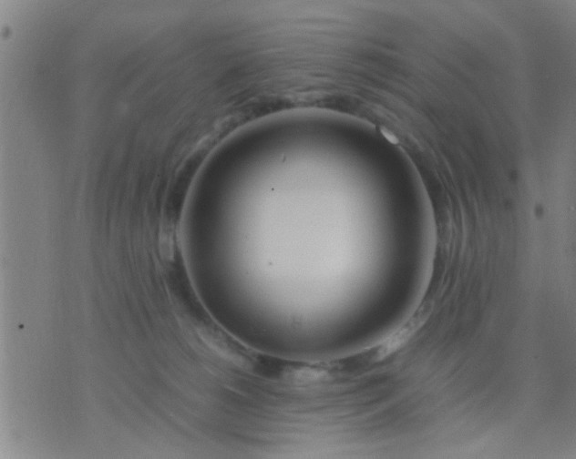 X0000074290180200609081901