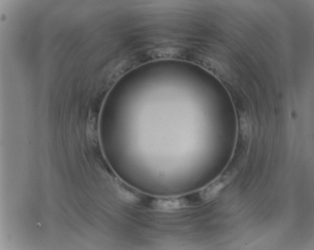 X0000074290181200609081901