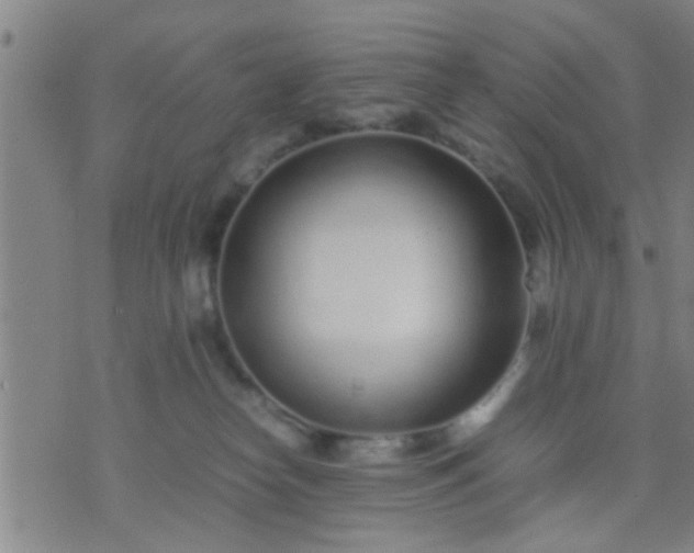 X0000074290182200609081901