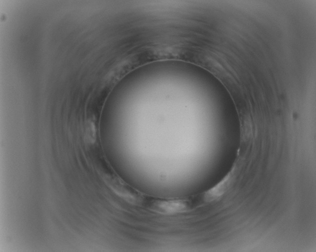 X0000074290183200609081901