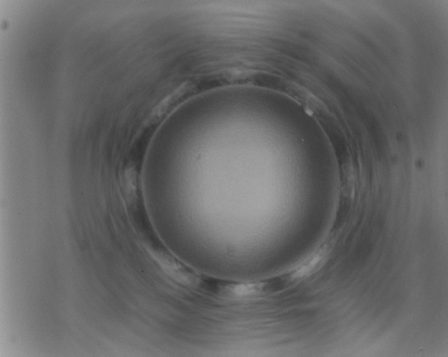 X0000074290184200609081901