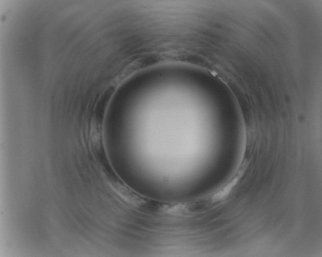 X0000074290186200609081901