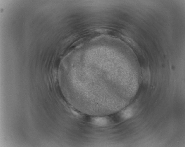 X0000074290189200609081901