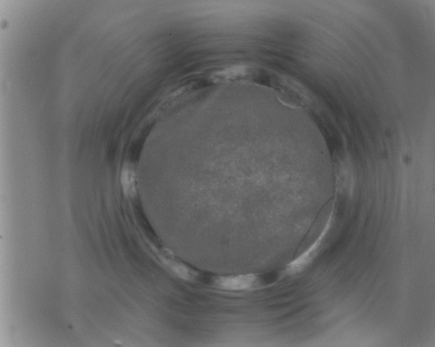 X0000074290191200609081901