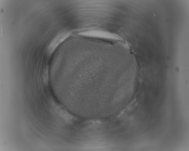 X0000074290194200609081900