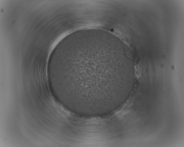 X0000074290196200609081900