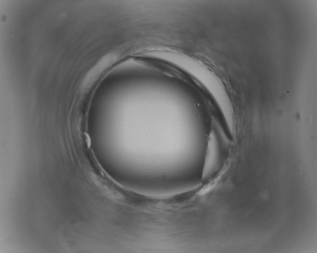 X0000074290197200609081900