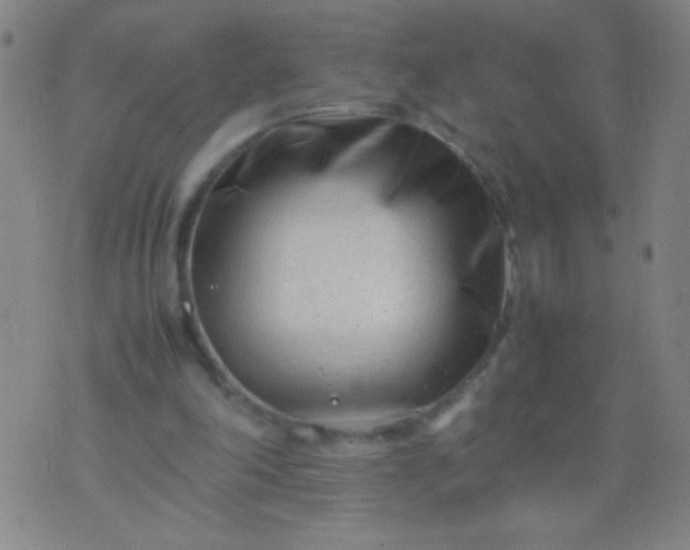 X0000074290198200609081900