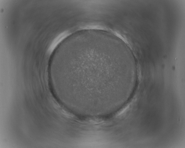 X0000074290199200609081900