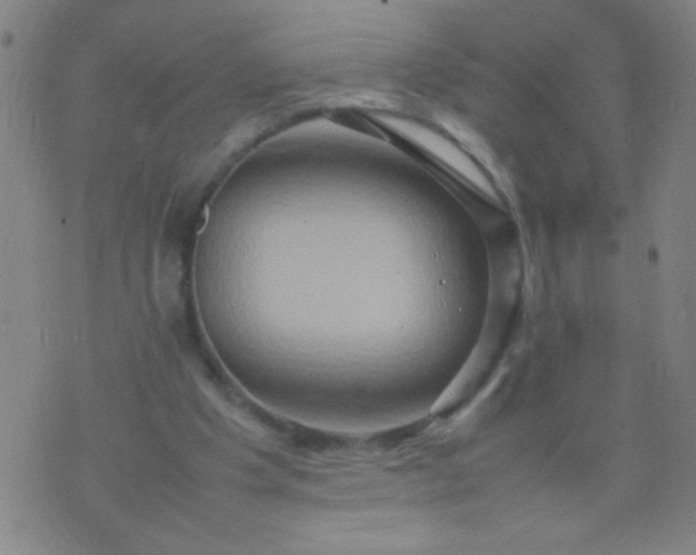 X0000074290201200609081900