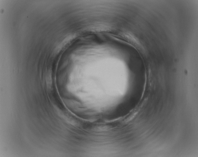 X0000074290202200609081900