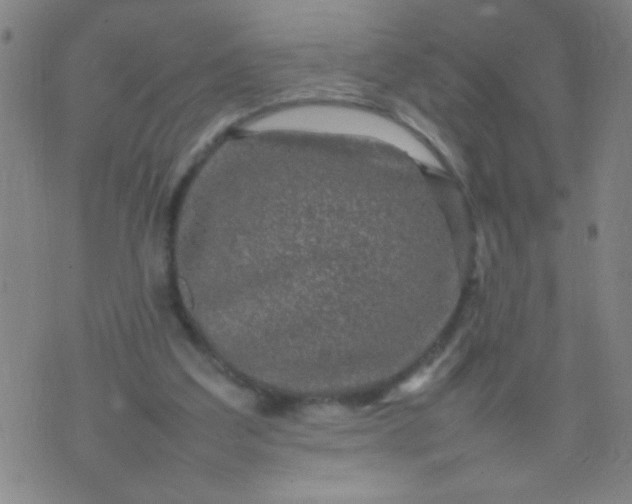 X0000074290203200609081900